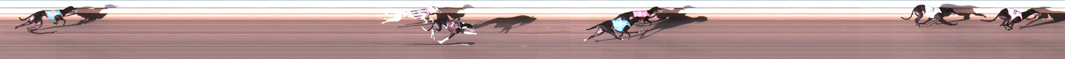 Photo finish for Warrnambool Race 6