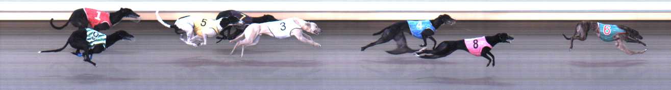 Photo finish for Warrnambool Race 7