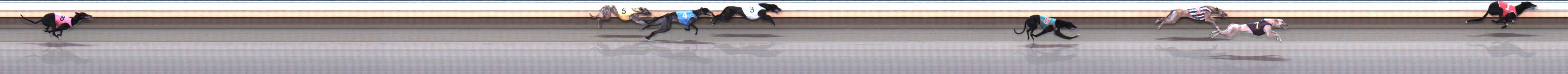 Photo finish for Warrnambool Race 9