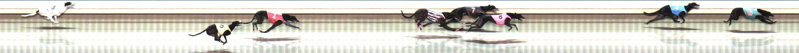 Photo finish for Warrnambool Race 10