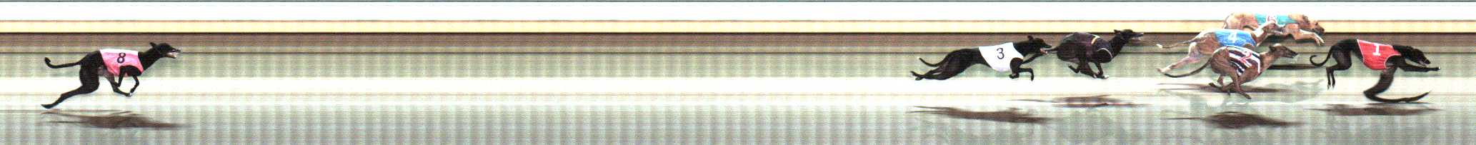 Photo finish for Warrnambool Race 12