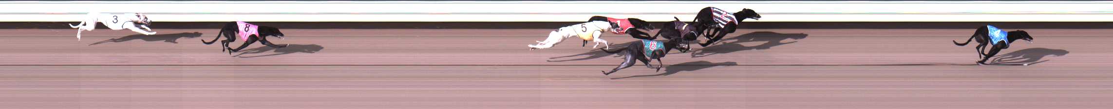 Photo finish for Warrnambool Race 1