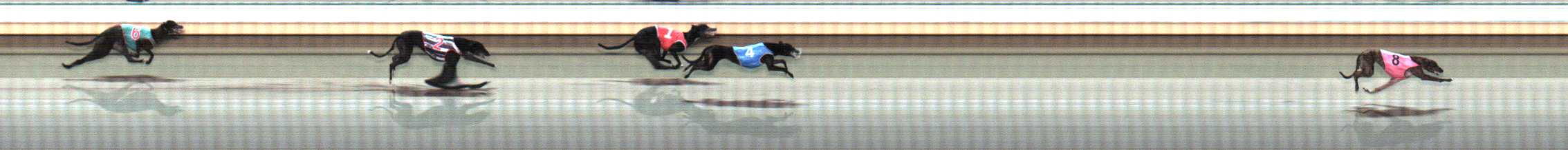 Photo finish for Warrnambool Race 10