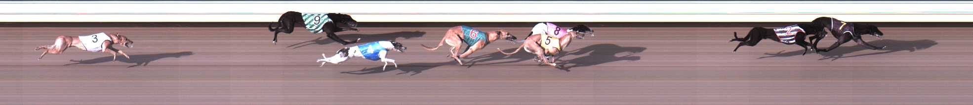 Photo finish for Warrnambool Race 2