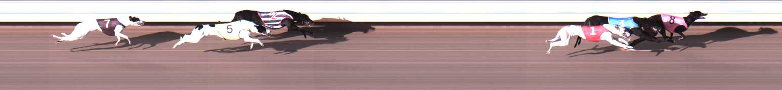 Photo finish for Warrnambool Race 3