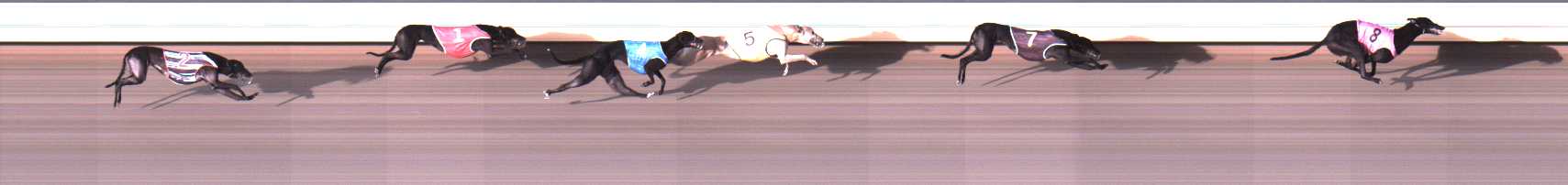 Photo finish for Warrnambool Race 4