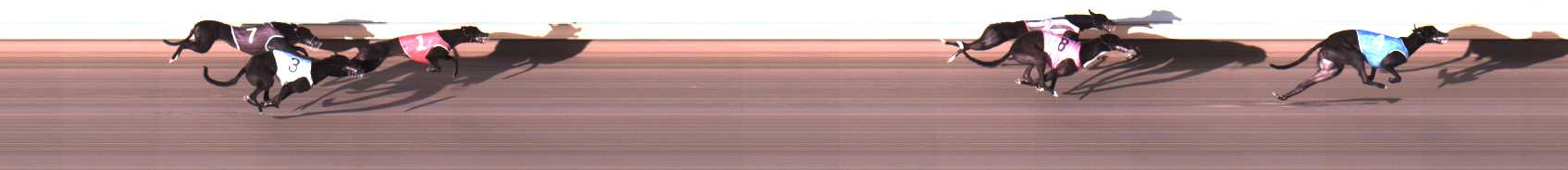 Photo finish for Warrnambool Race 5