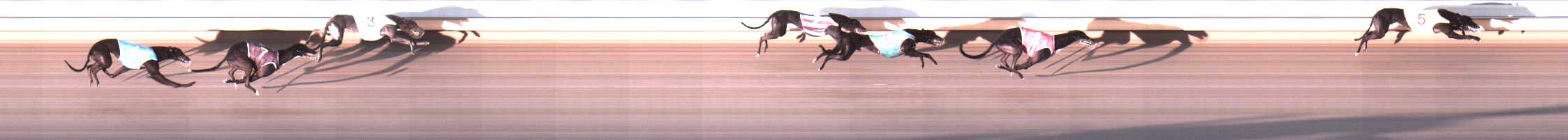 Photo finish for Warrnambool Race 6