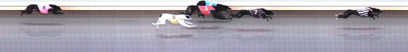 Photo finish for Warrnambool Race 7