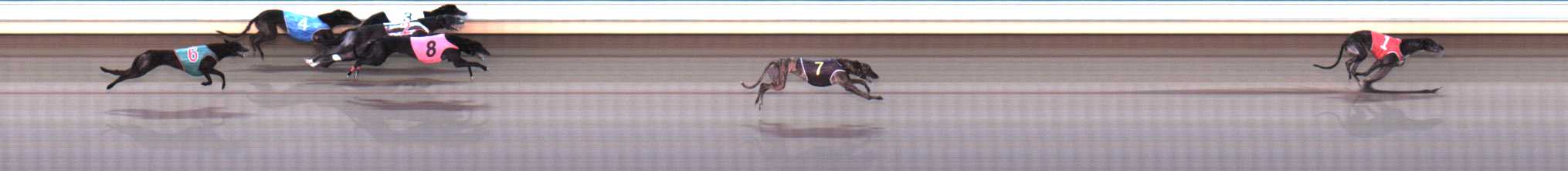 Photo finish for Warrnambool Race 8