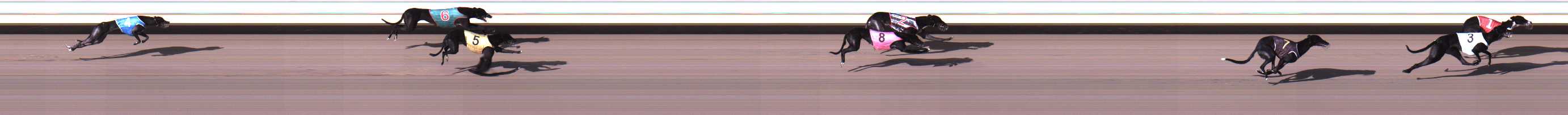 Photo finish for Warrnambool Race 1