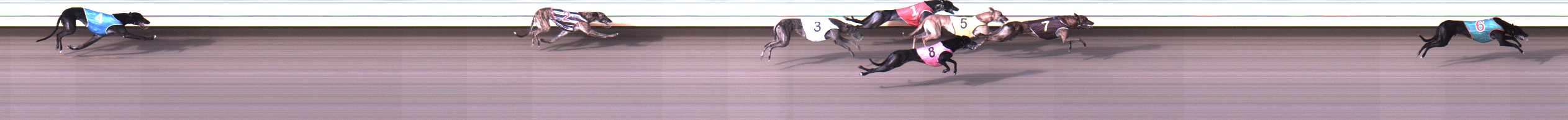 Photo finish for Warrnambool Race 2