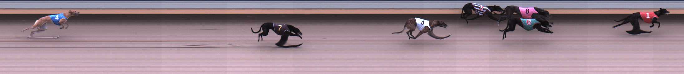 Photo finish for Warrnambool Race 3