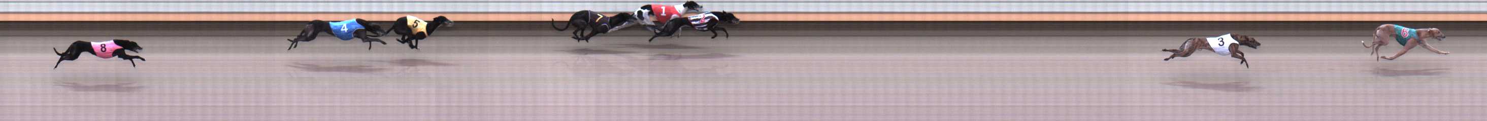 Photo finish for Warrnambool Race 4