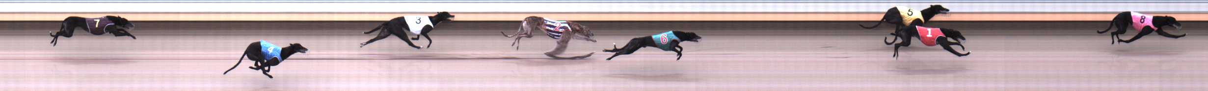 Photo finish for Warrnambool Race 5