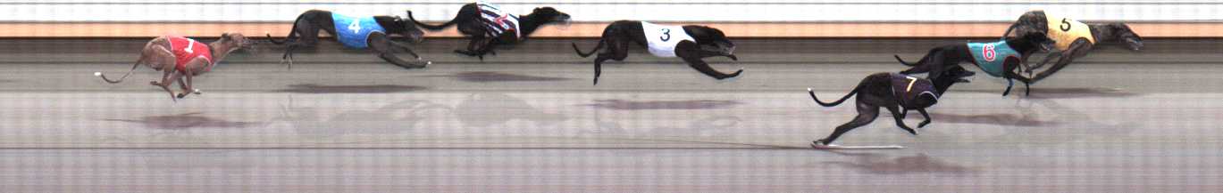 Photo finish for Warrnambool Race 6