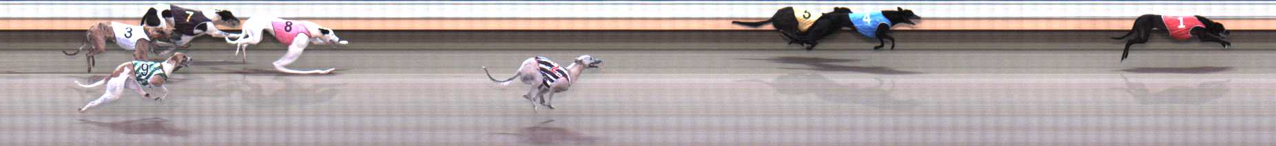 Photo finish for Warrnambool Race 7