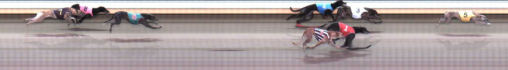 Photo finish for Warrnambool Race 8