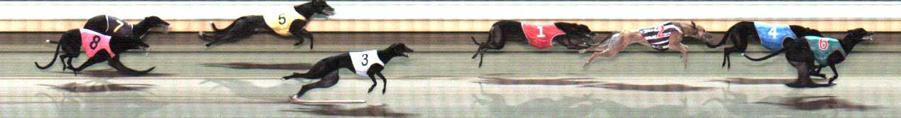 Photo finish for Warrnambool Race 9