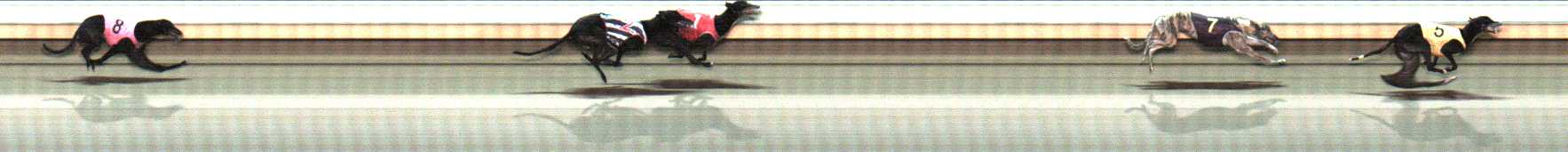 Photo finish for Warrnambool Race 10