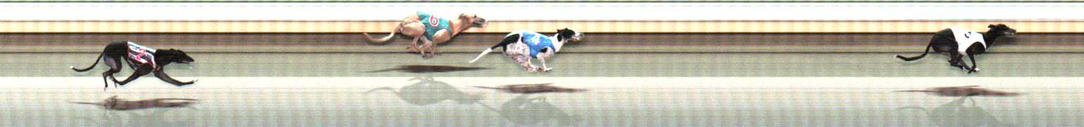 Photo finish for Warrnambool Race 11
