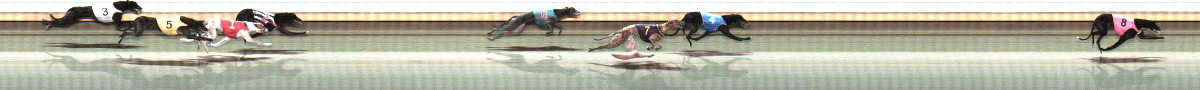 Photo finish for Warrnambool Race 12