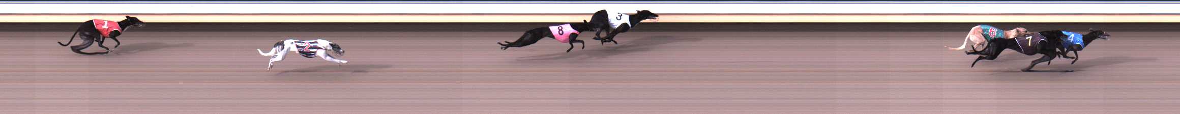 Photo finish for Warrnambool Race 1