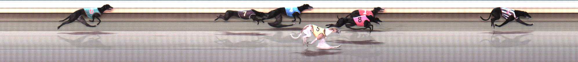 Photo finish for Warrnambool Race 10