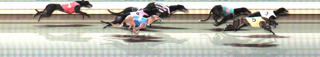 Photo finish for Warrnambool Race 11
