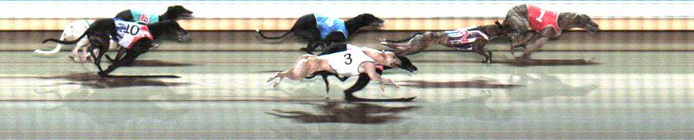 Photo finish for Warrnambool Race 12