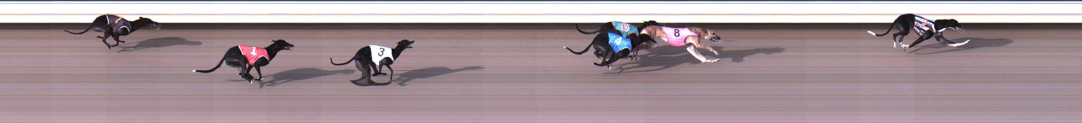 Photo finish for Warrnambool Race 2