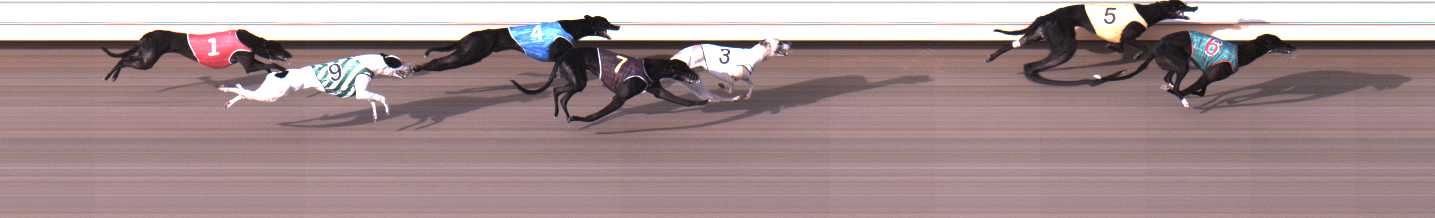 Photo finish for Warrnambool Race 3