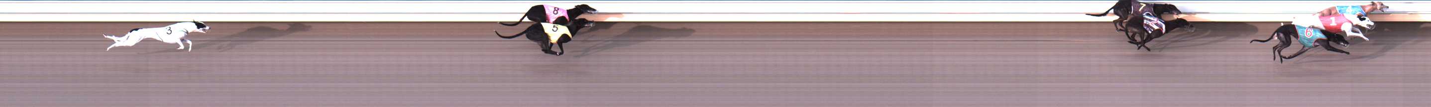 Photo finish for Warrnambool Race 5