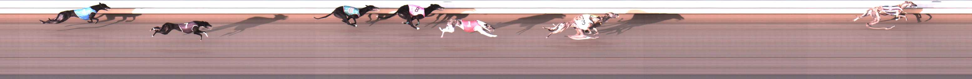 Photo finish for Warrnambool Race 6