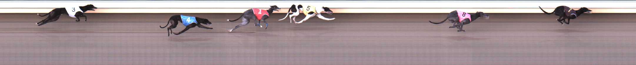 Photo finish for Warrnambool Race 7