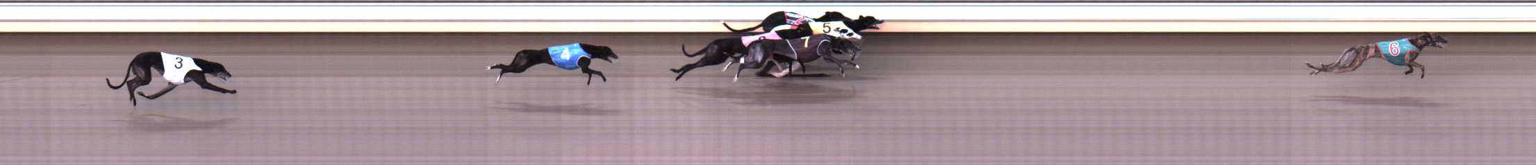 Photo finish for Warrnambool Race 8