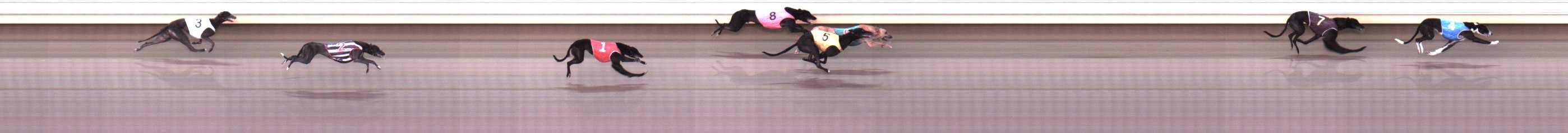 Photo finish for Warrnambool Race 9