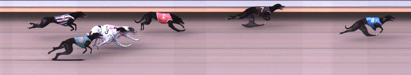Photo finish for Warrnambool Race 1