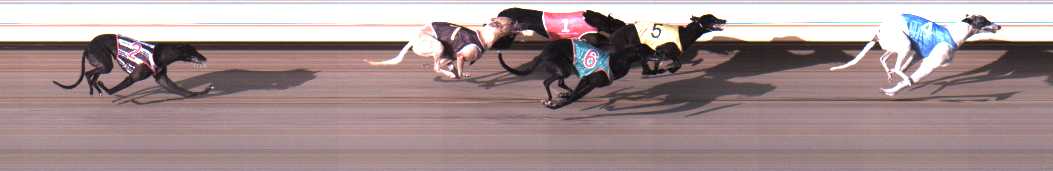 Photo finish for Warrnambool Race 3