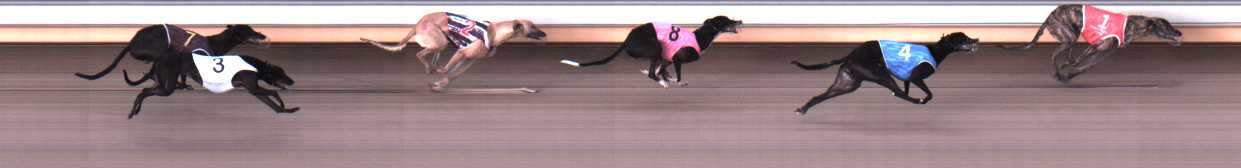 Photo finish for Warrnambool Race 4