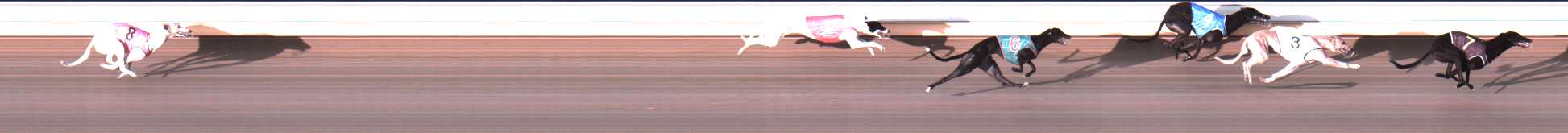 Photo finish for Warrnambool Race 5