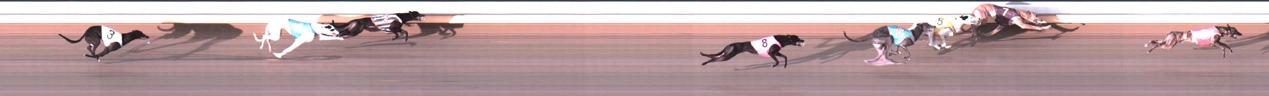 Photo finish for Warrnambool Race 6
