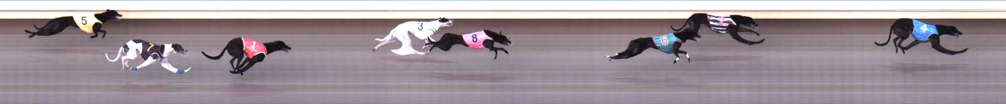 Photo finish for Warrnambool Race 7