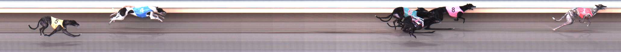 Photo finish for Warrnambool Race 8