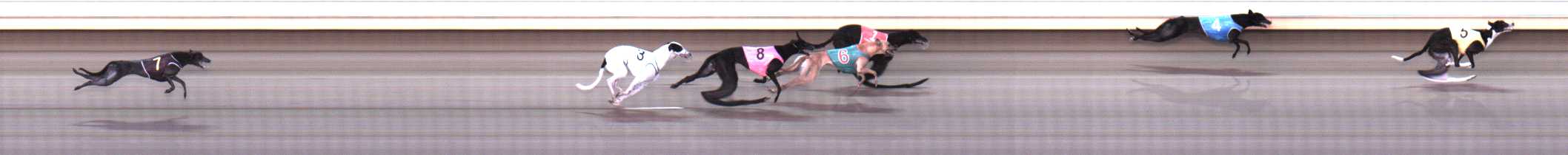 Photo finish for Warrnambool Race 9