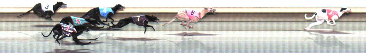 Photo finish for Warrnambool Race 10