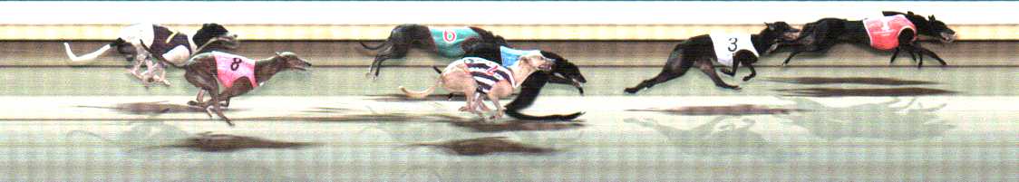 Photo finish for Warrnambool Race 12