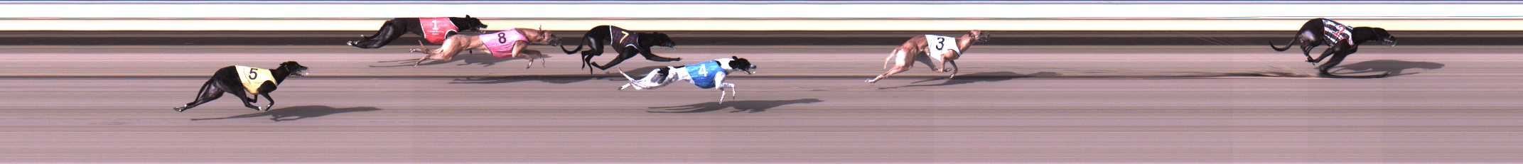 Photo finish for Warrnambool Race 10