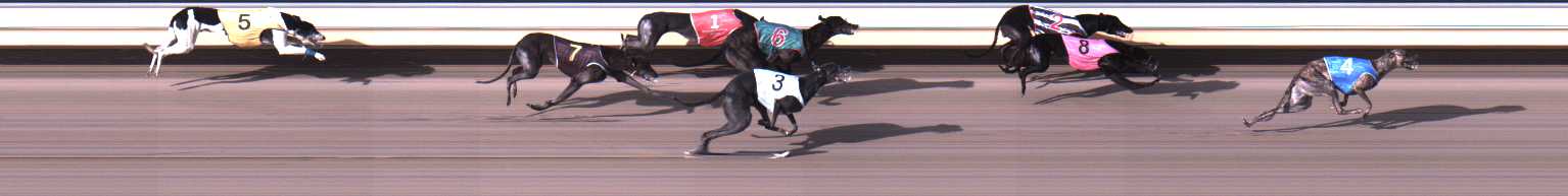 Photo finish for Warrnambool Race 11