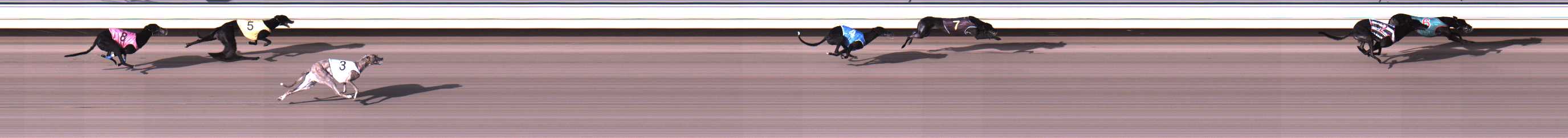 Photo finish for Warrnambool Race 12